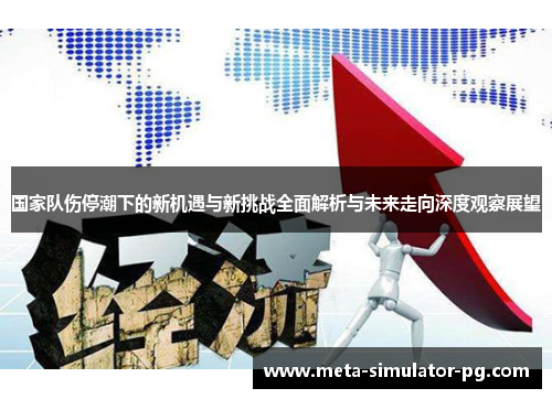 国家队伤停潮下的新机遇与新挑战全面解析与未来走向深度观察展望